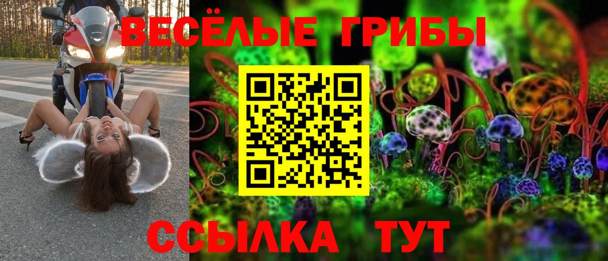 Галлюциногенные грибы Cubensis  где продают наркотики  Нефтекамск  Вход с VPN 